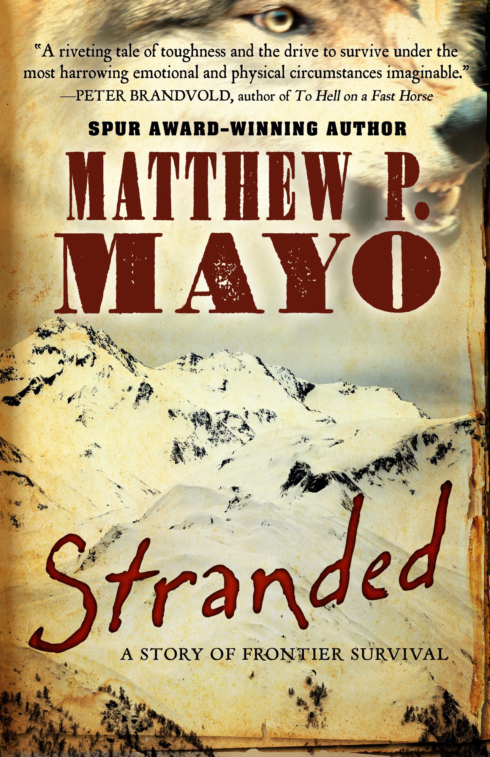 Stranded book cover