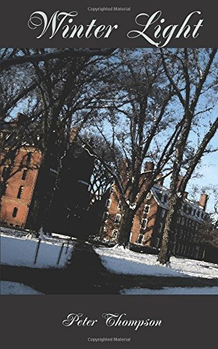 Winter Light book cover