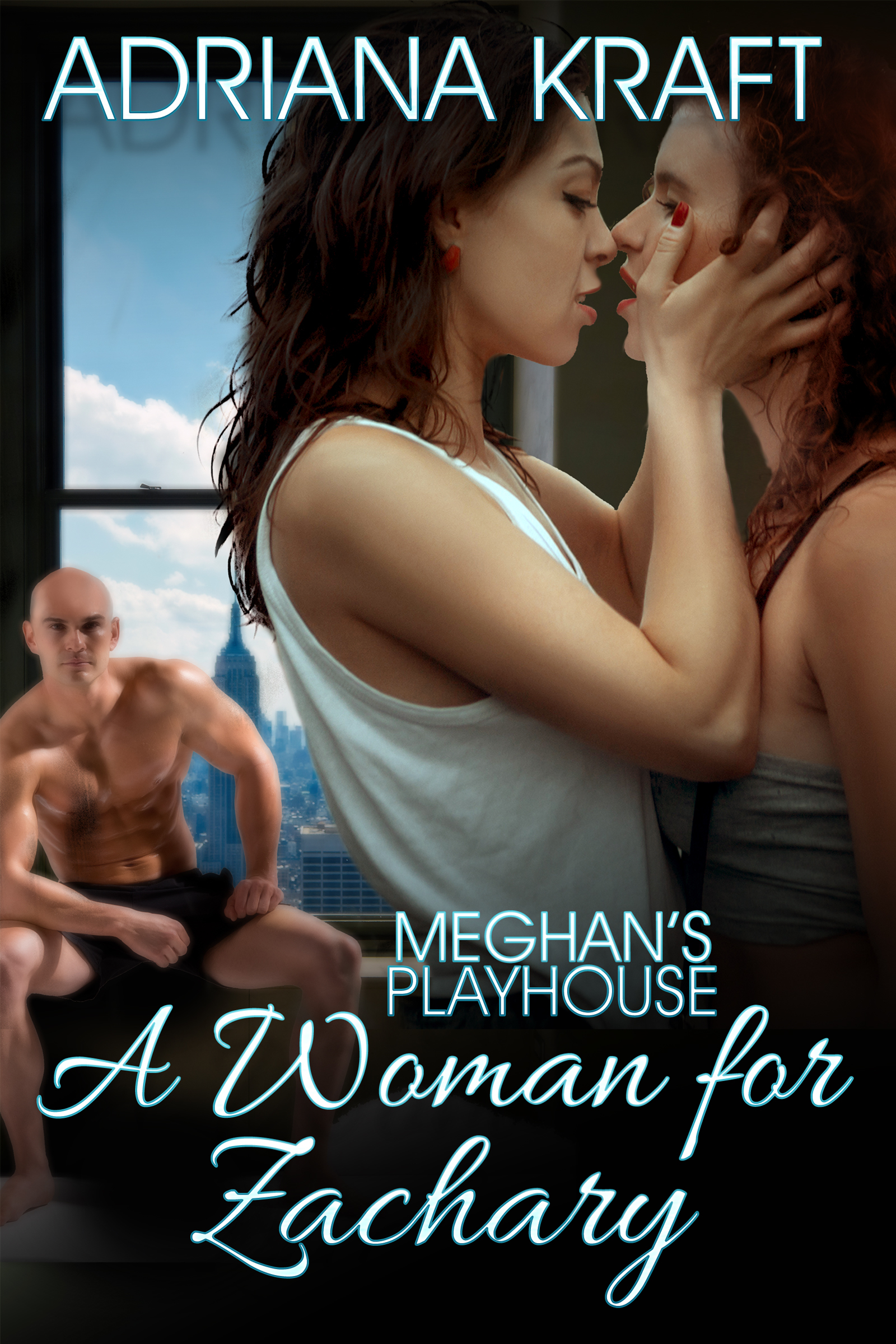 Meghan's Playhouse book cover 2