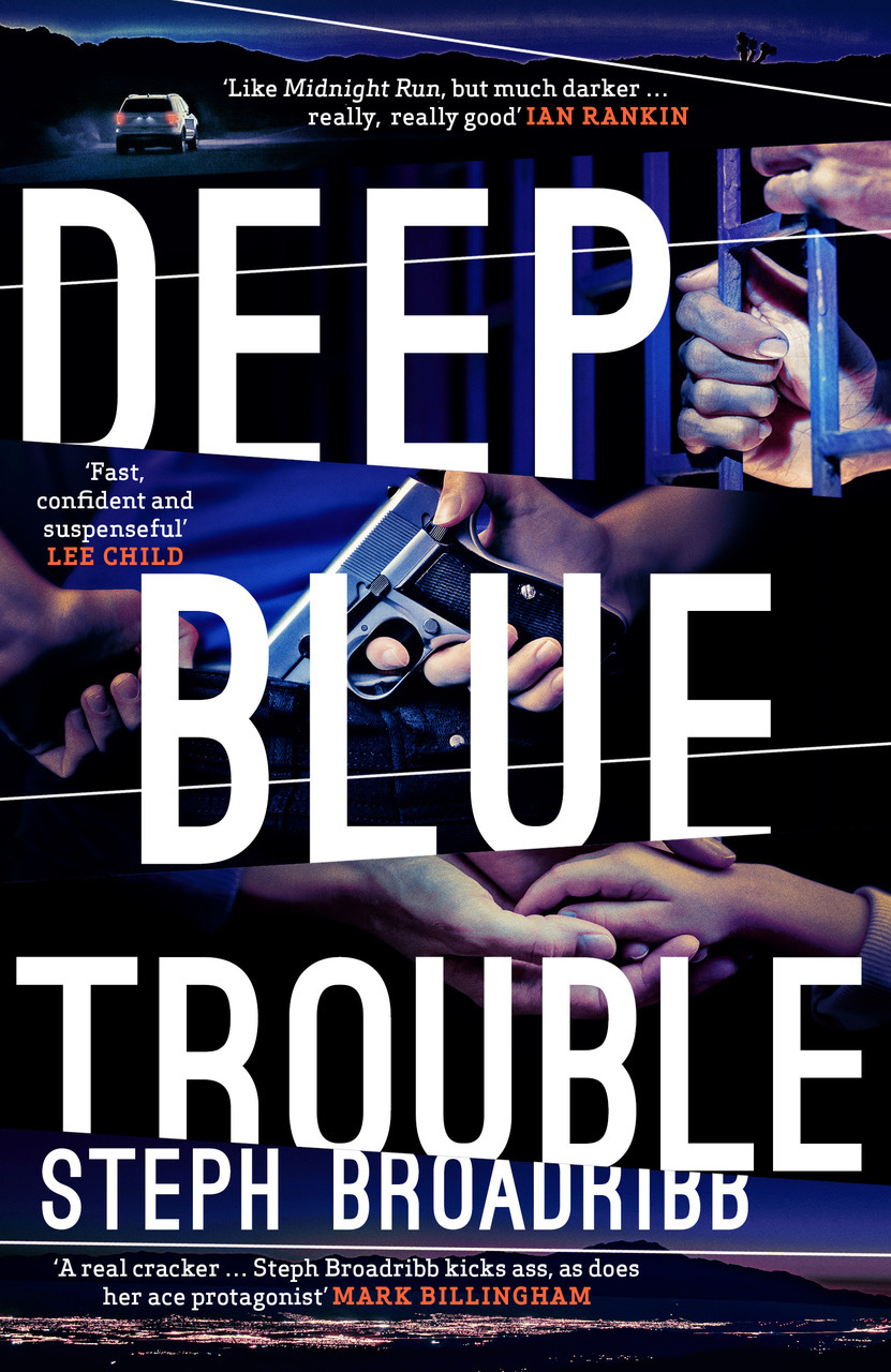 Lori Anderson book cover 3