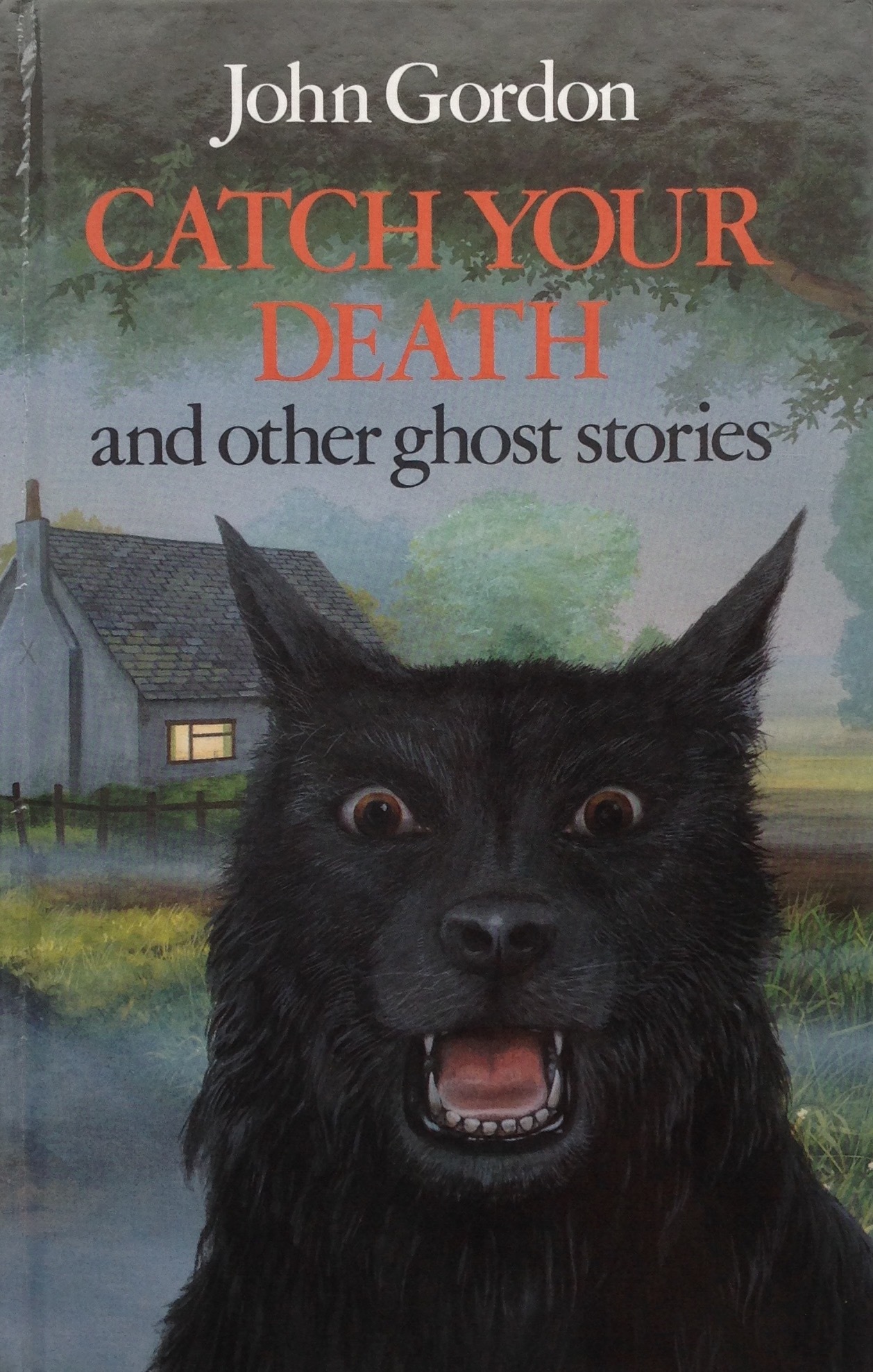 Catch Your Death by John Gordon Goodreads