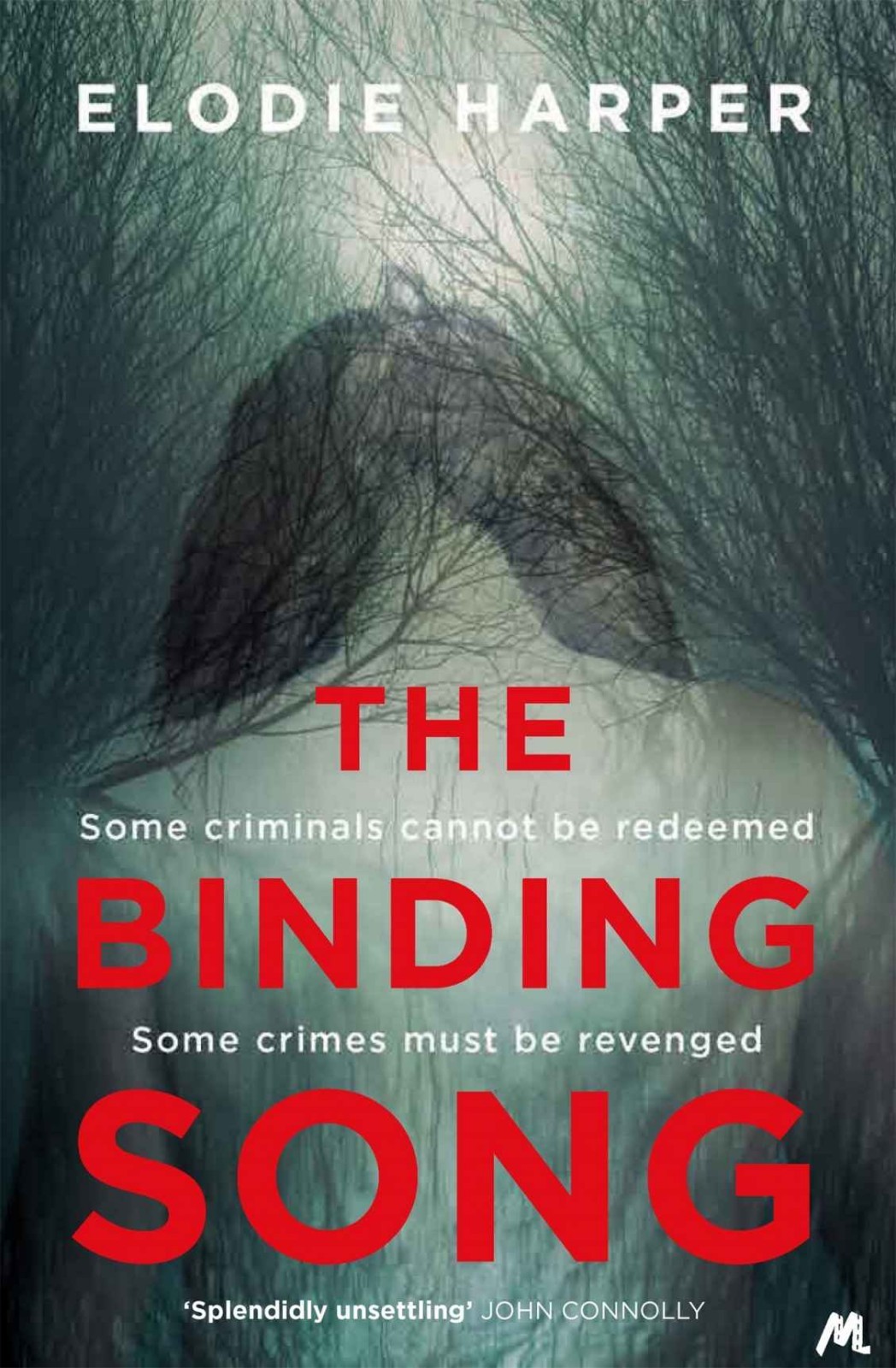 The Binding Song book cover