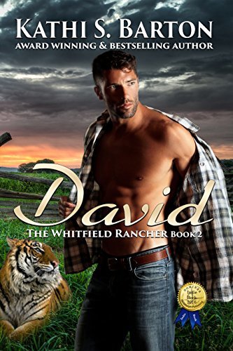 David book cover