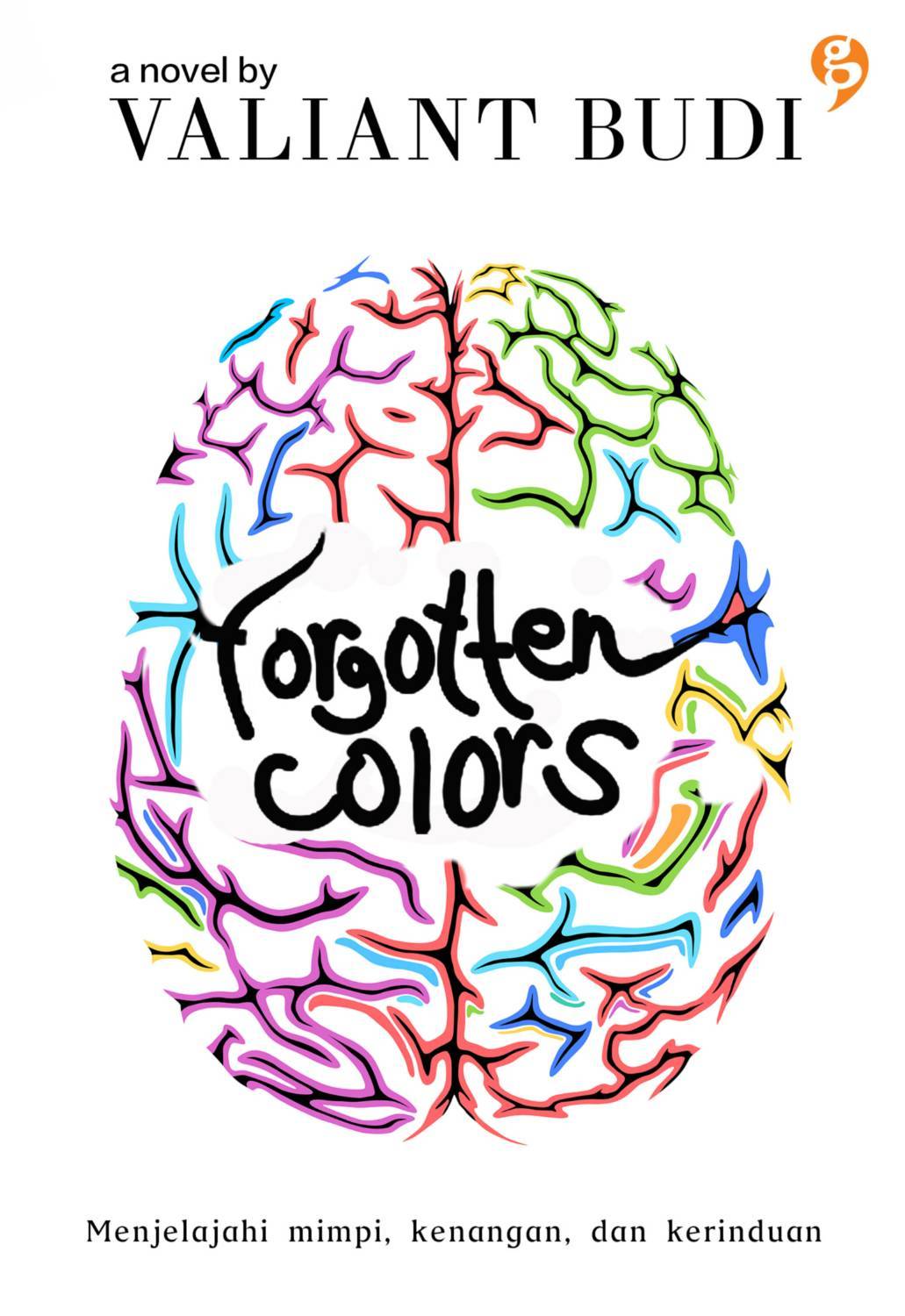 Forgotten Colors book cover