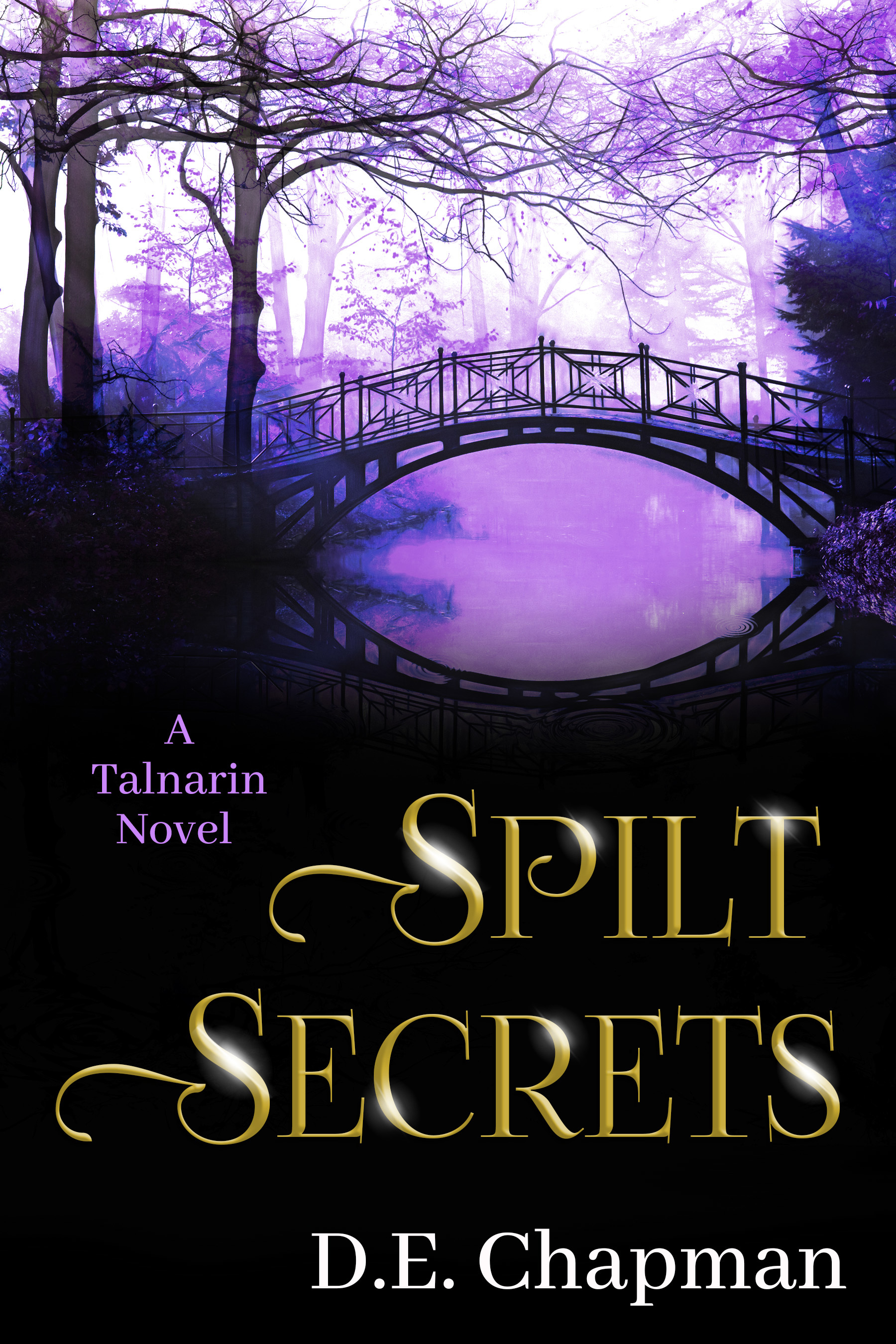 Talnarin book cover 3