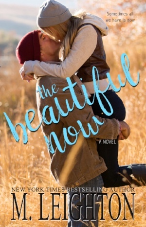 The Beautiful Now book cover