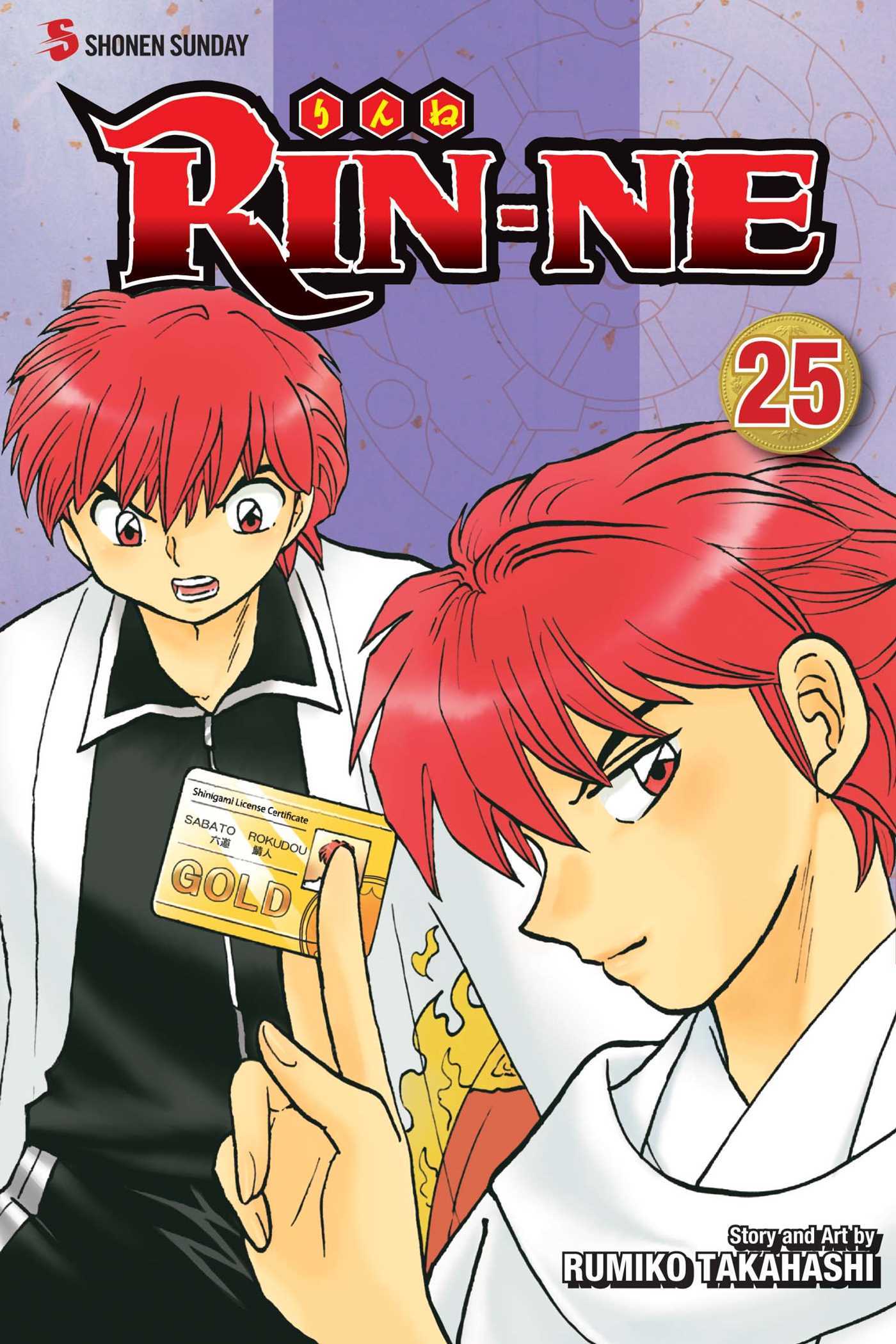 RIN-NE, Vol. 25 book cover