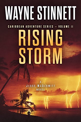 Rising Storm book cover