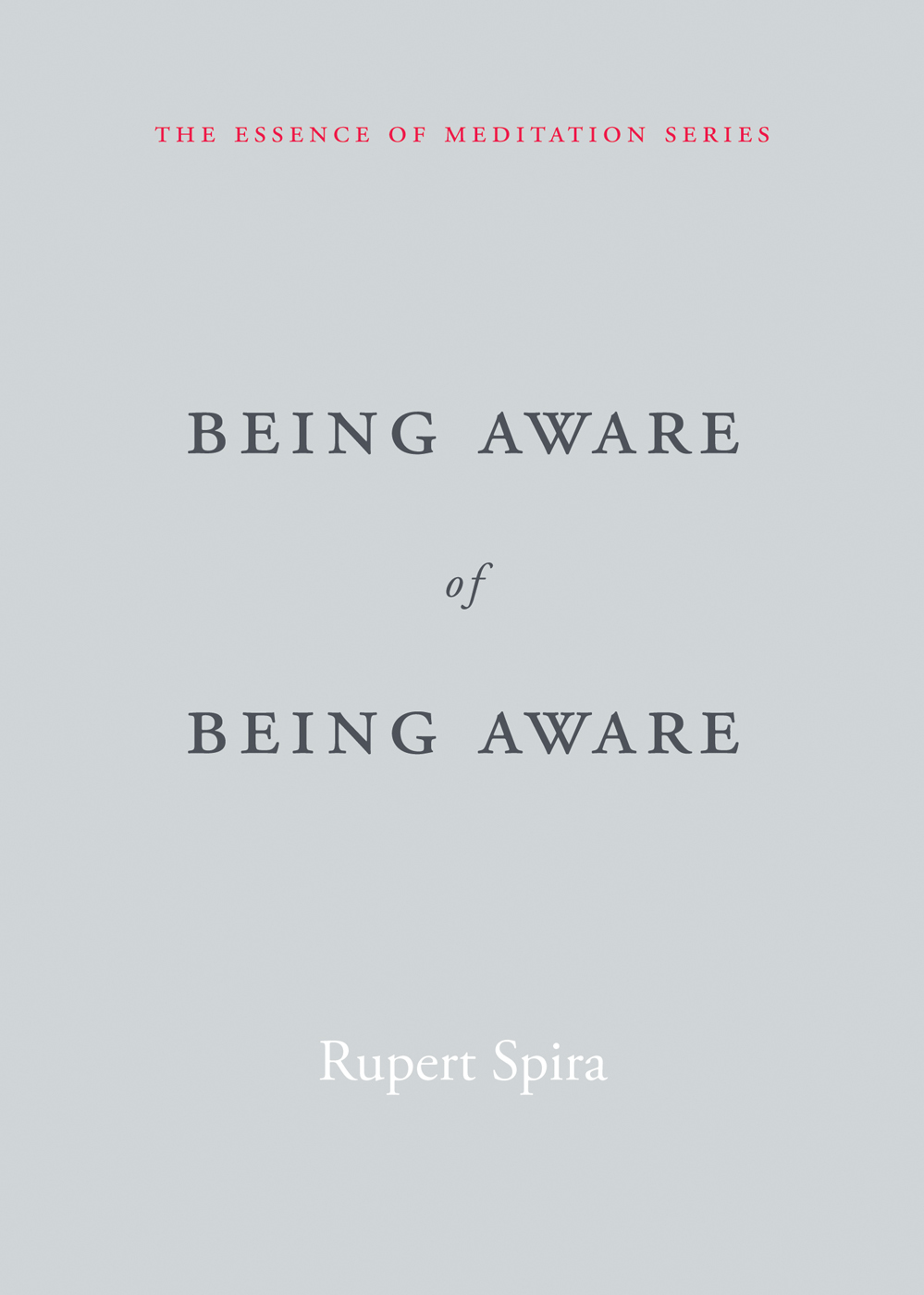 Being Aware of Being Aware