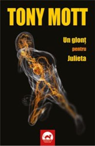 Ana Stancu book cover 2