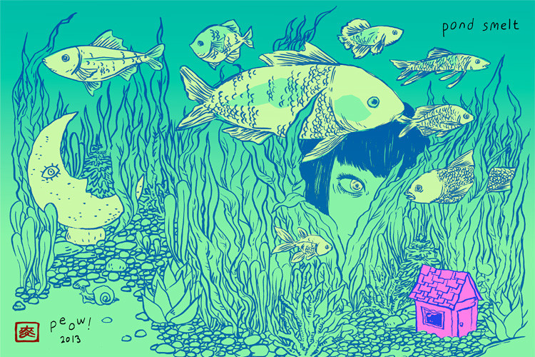 Pond Smelt book cover