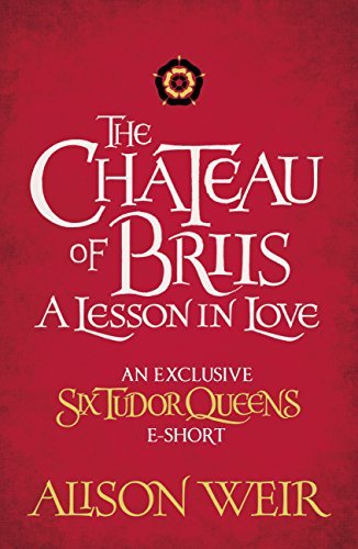 The Chateau of Briis book cover