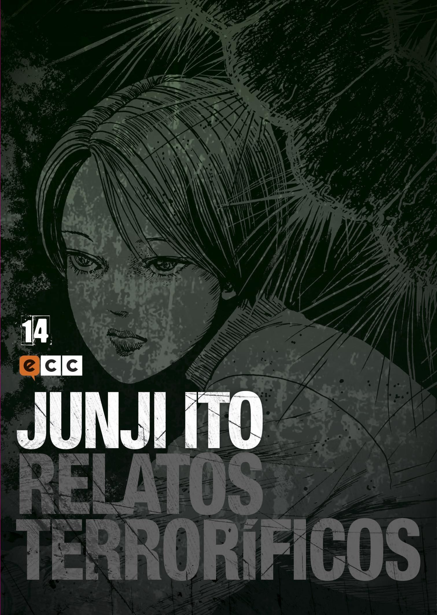 Relatos terroríficos 14 book cover