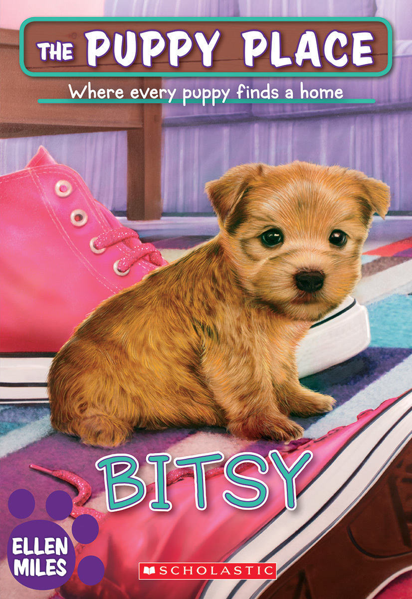 Bitsy book cover