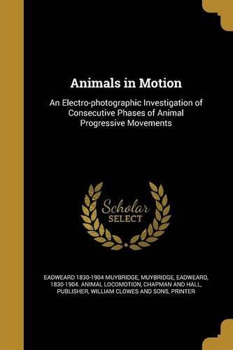 Animals in Motion: An Electro-photographic Investigation of Consecutive ...