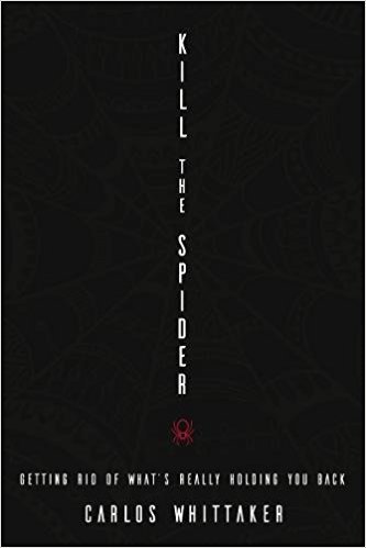 Kill the Spider