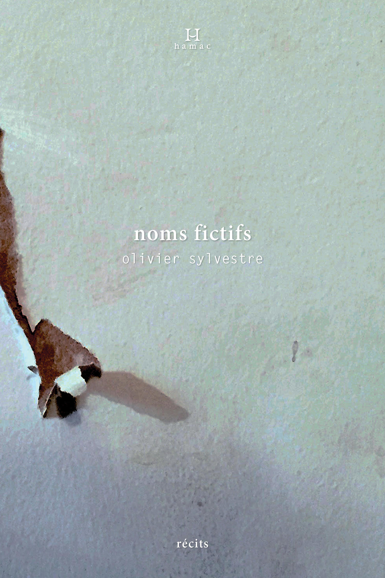 noms fictifs book cover