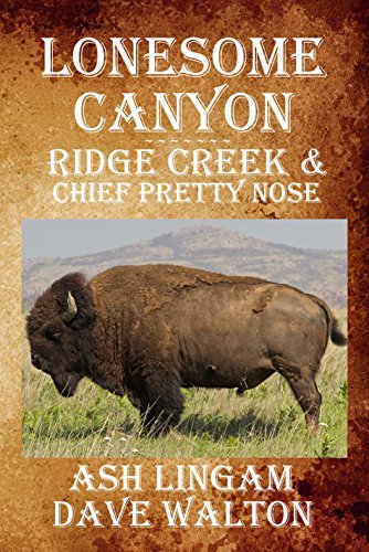 Lonsome Canyon book cover