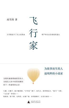飞行家 book cover