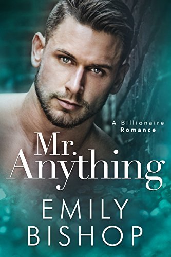 Mr. Anything book cover