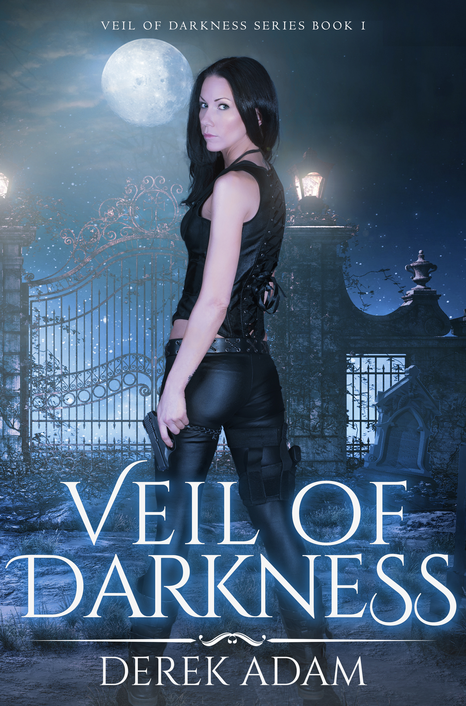 Veil of Darkness book cover 1