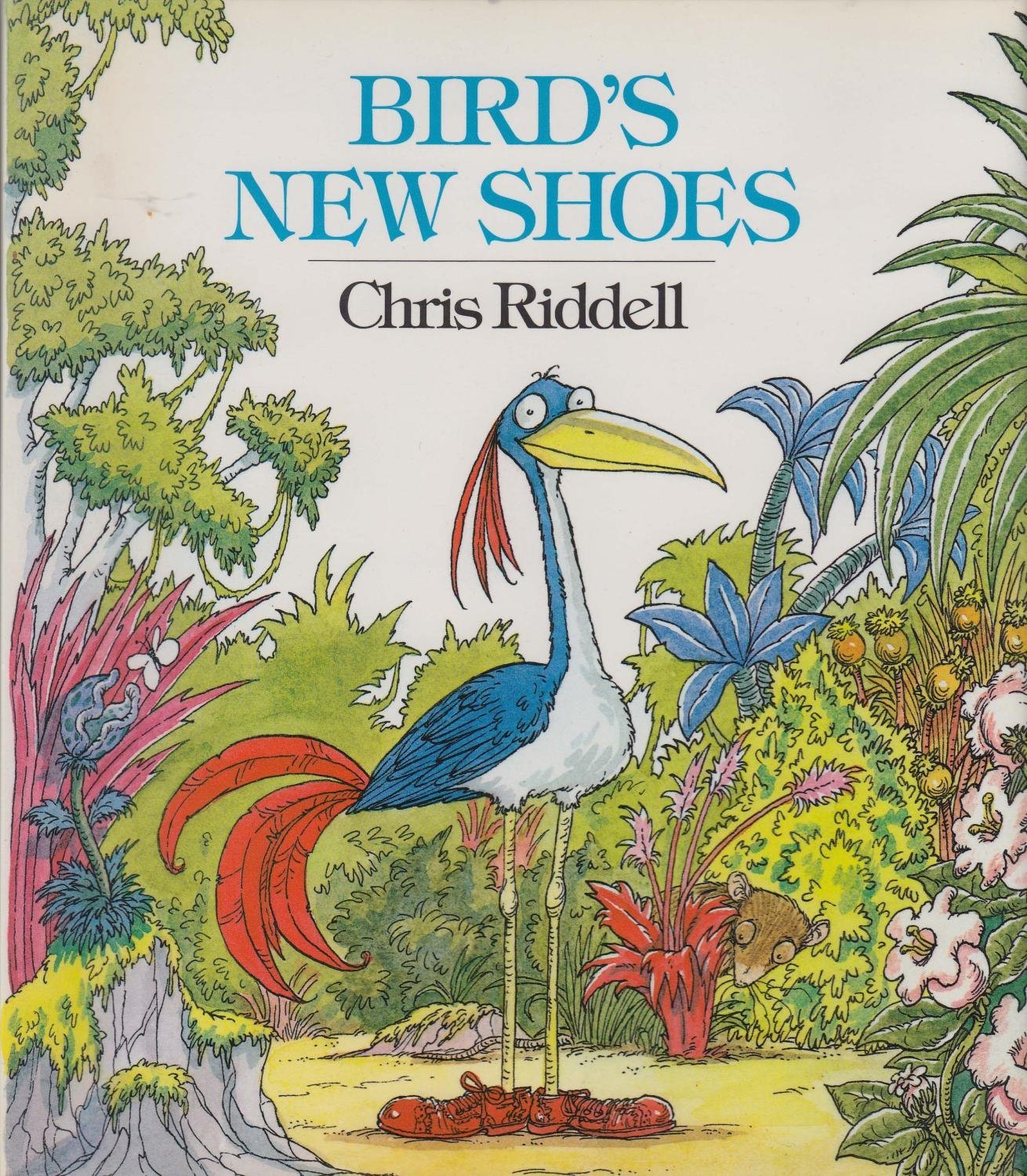 Bird's New Shoes book cover