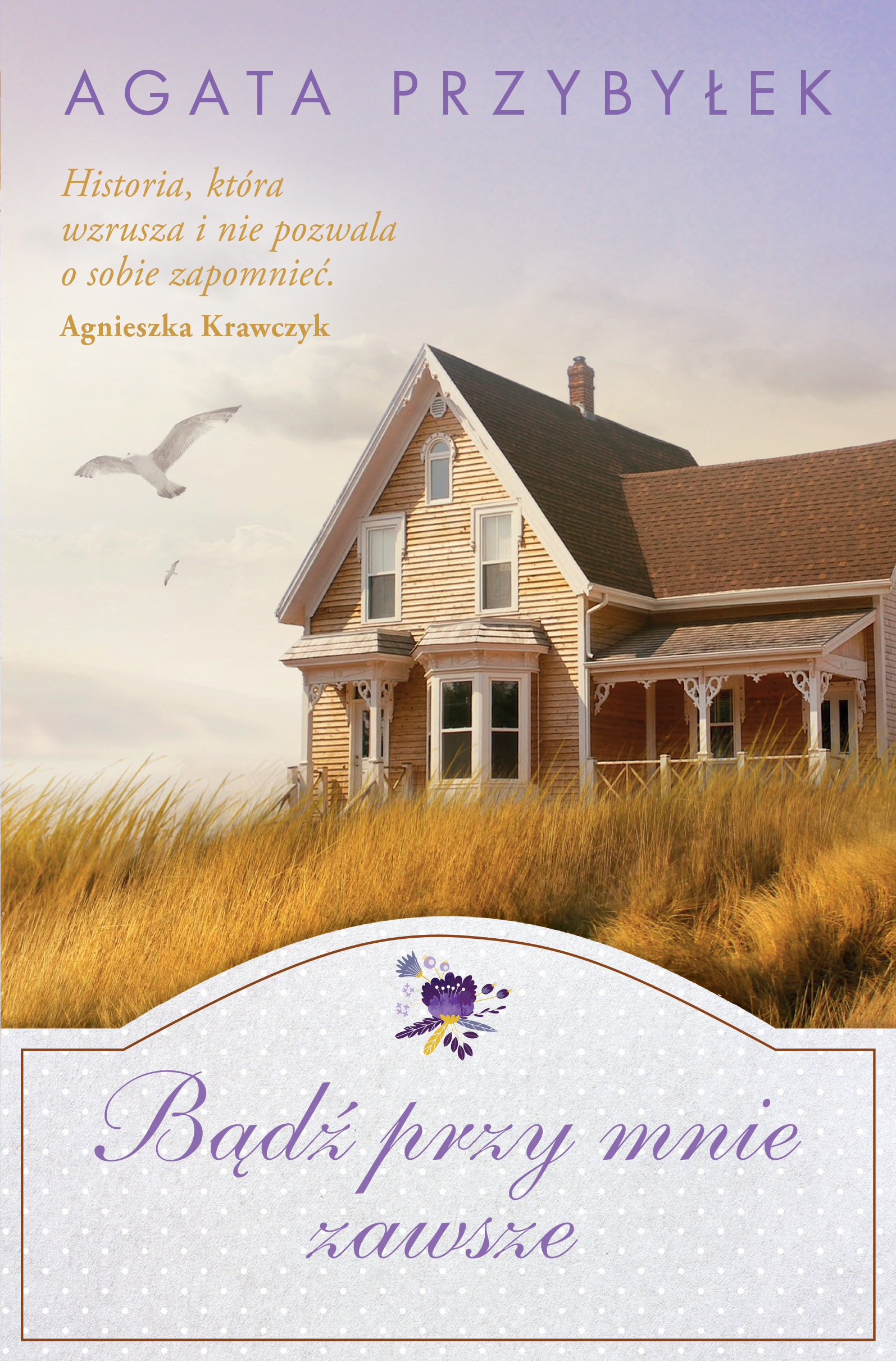 Seria z domkami book cover 1