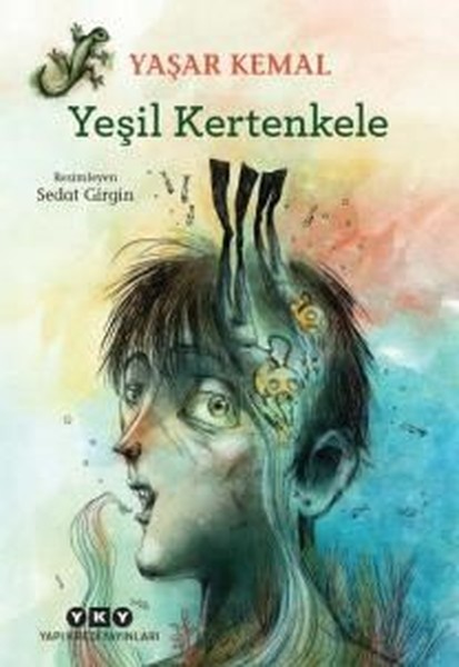 Yeşil Kertenkele book cover