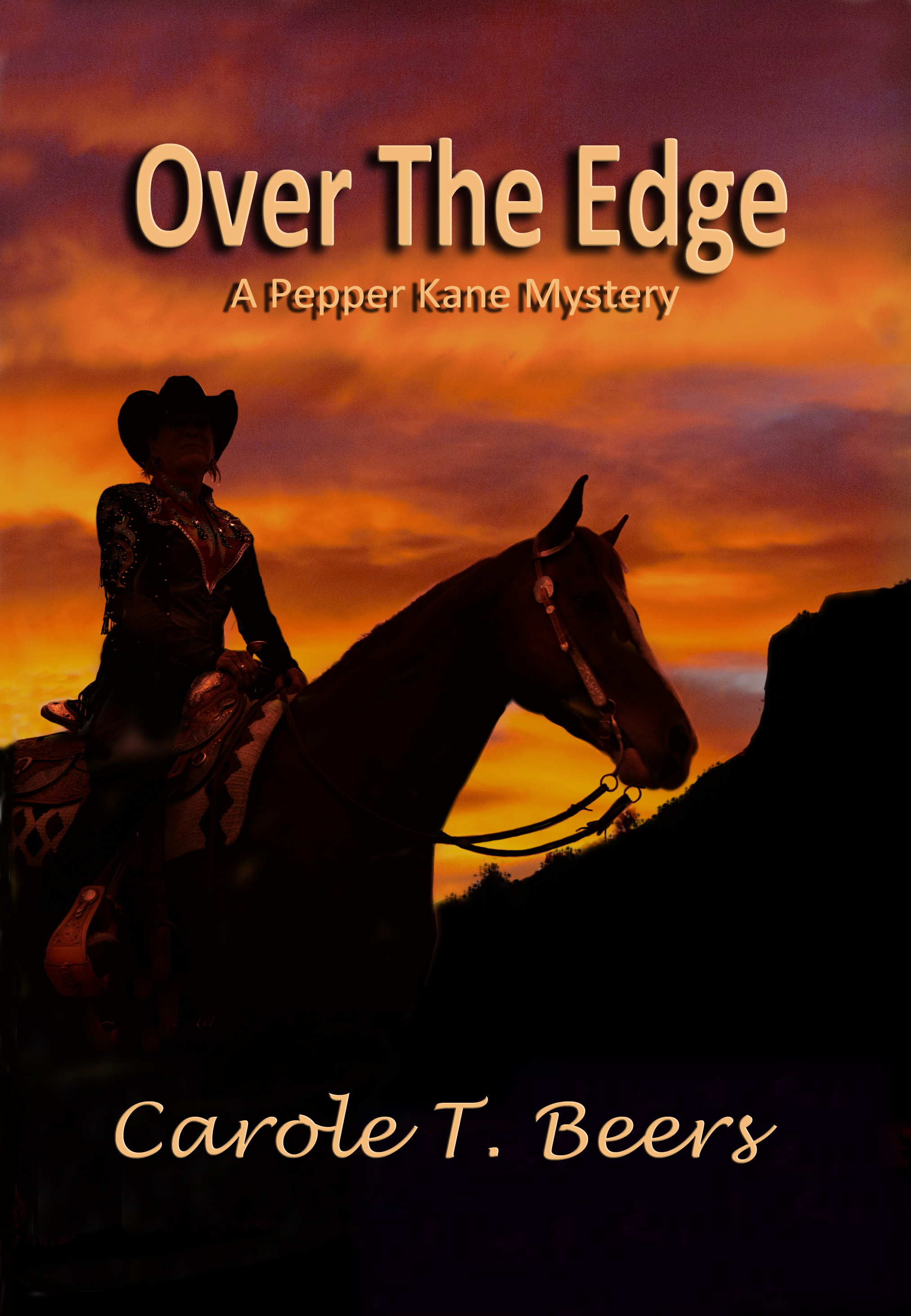 Over the Edge book cover