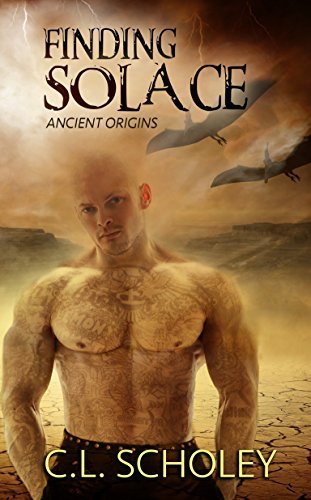 Finding Solace book cover