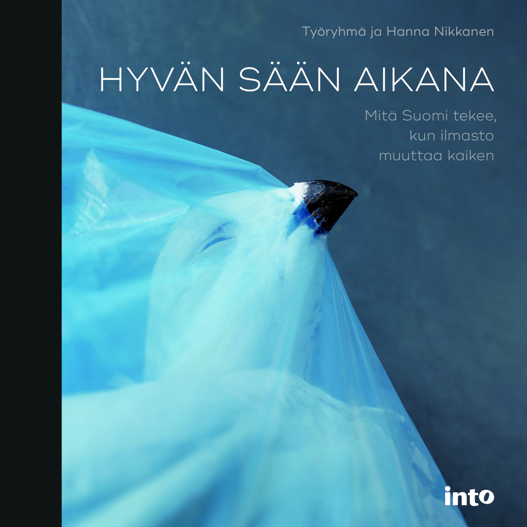 Hyvän sään aikana - mitä Suomi tekee, kun ilmasto muuttaa kaiken book cover