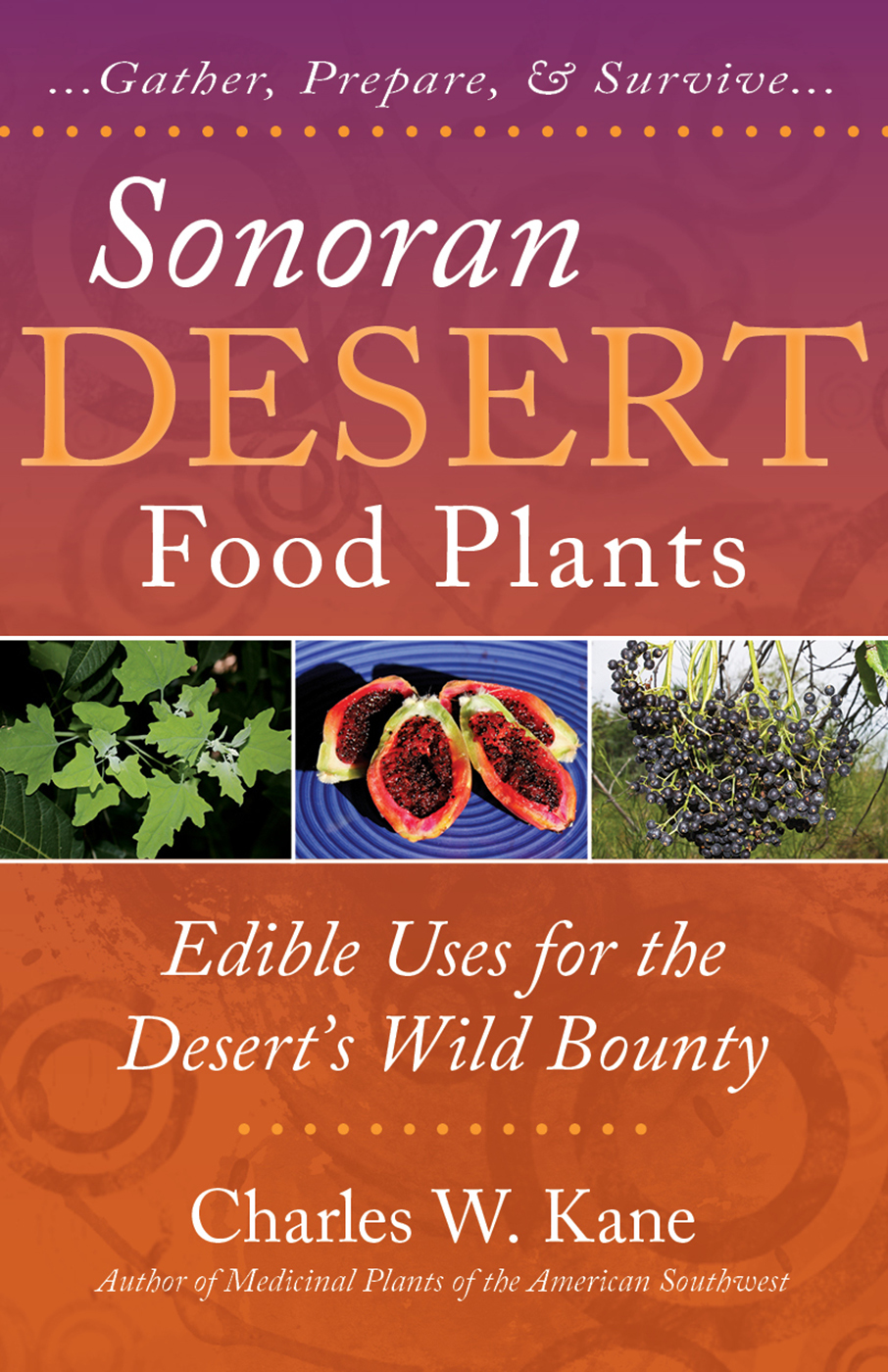 Sonoran Desert Food Plants Edible Uses for the Desert's Wild Bounty by