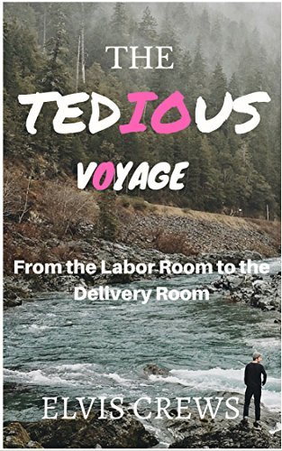 Tedious Book THE TEDIOUS VOYAGE: Understanding The Journey From The Labor Room to ...