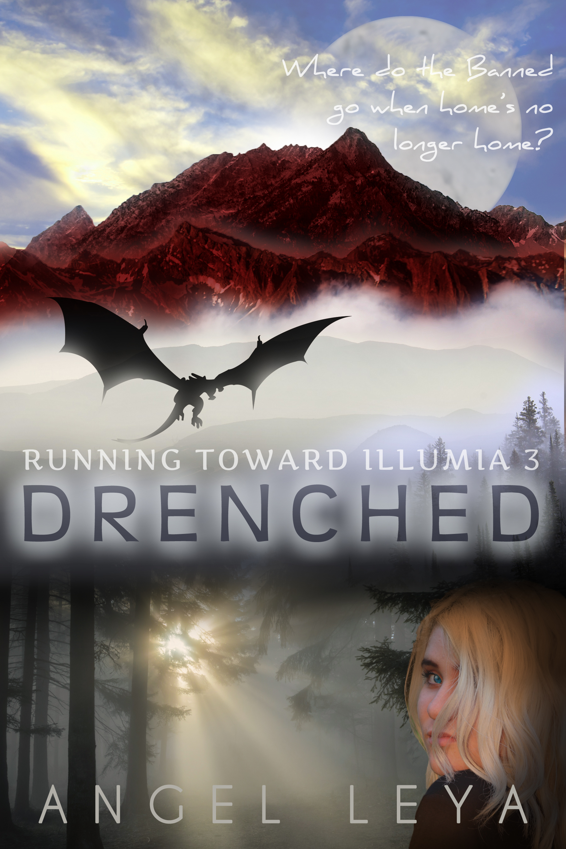 Drenched book cover