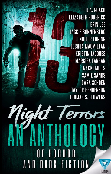 13 Night Terrors book cover