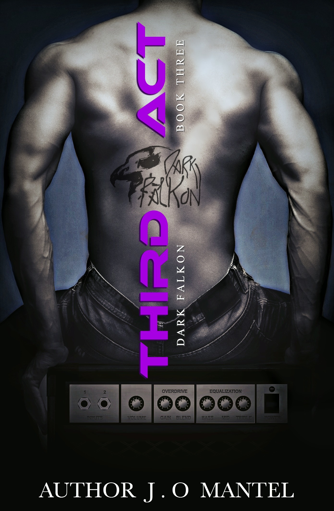 Dark Falkon book cover 2