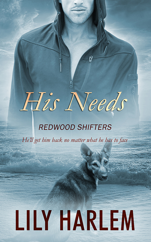 His Needs book cover