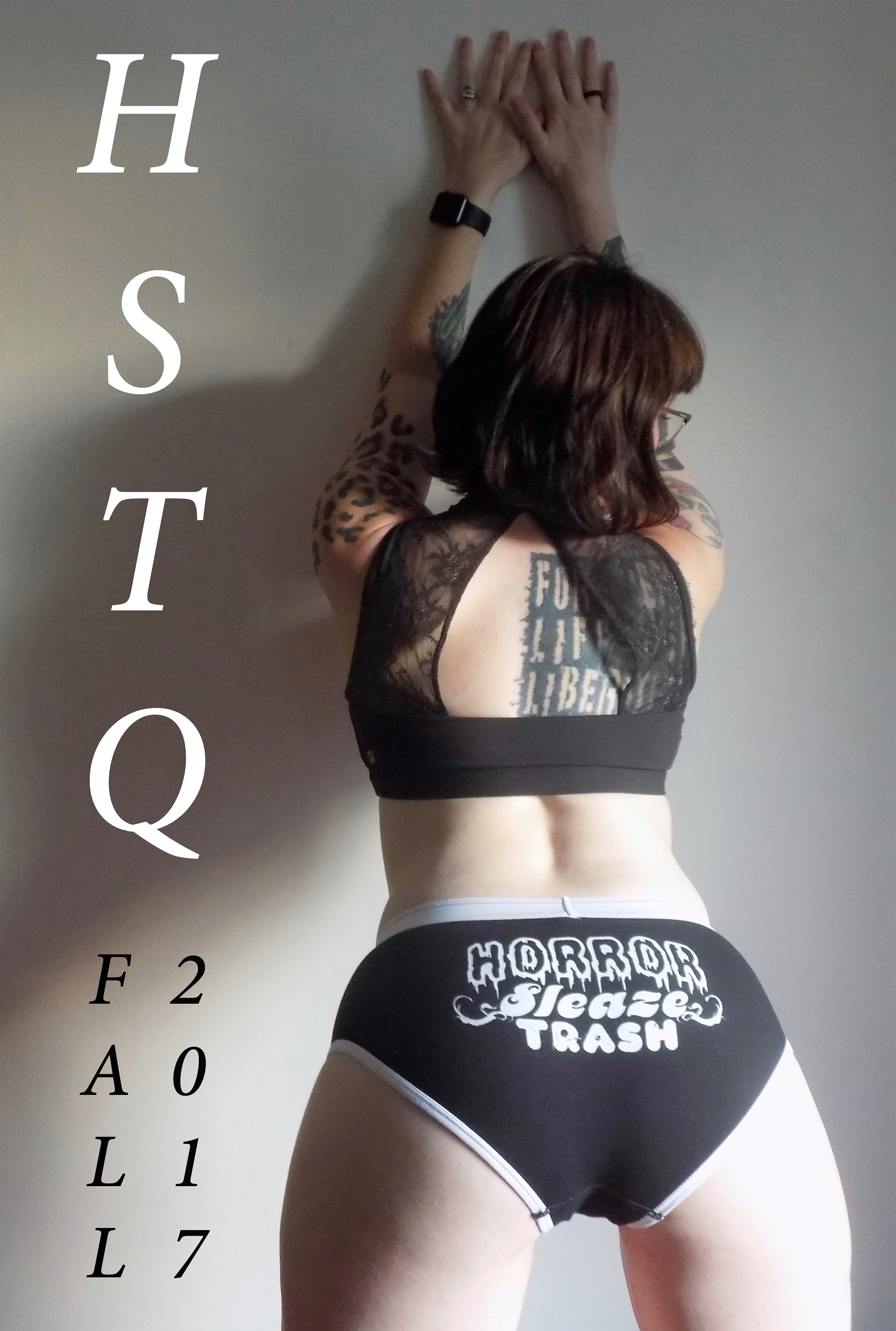 HSTQ book cover 1