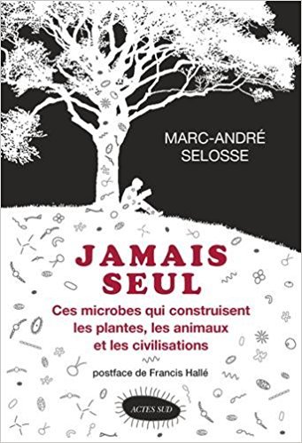 Jamais seul. Ces microbes qui construisent les plantes, les animaux et les civilisations