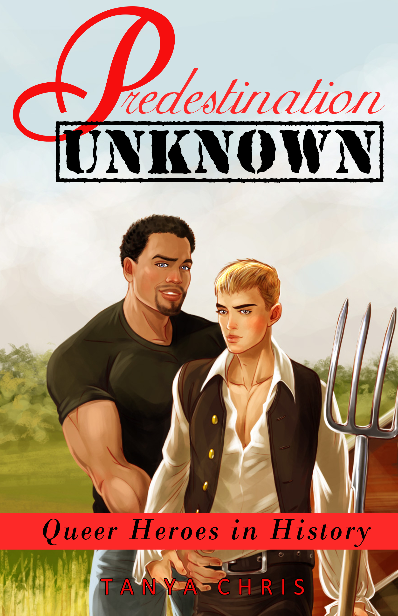 Predestination Unknown book cover