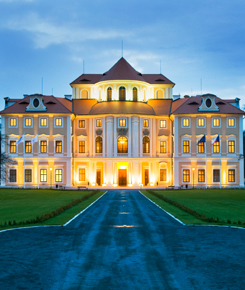 One Night at the Di Sione Mansion
