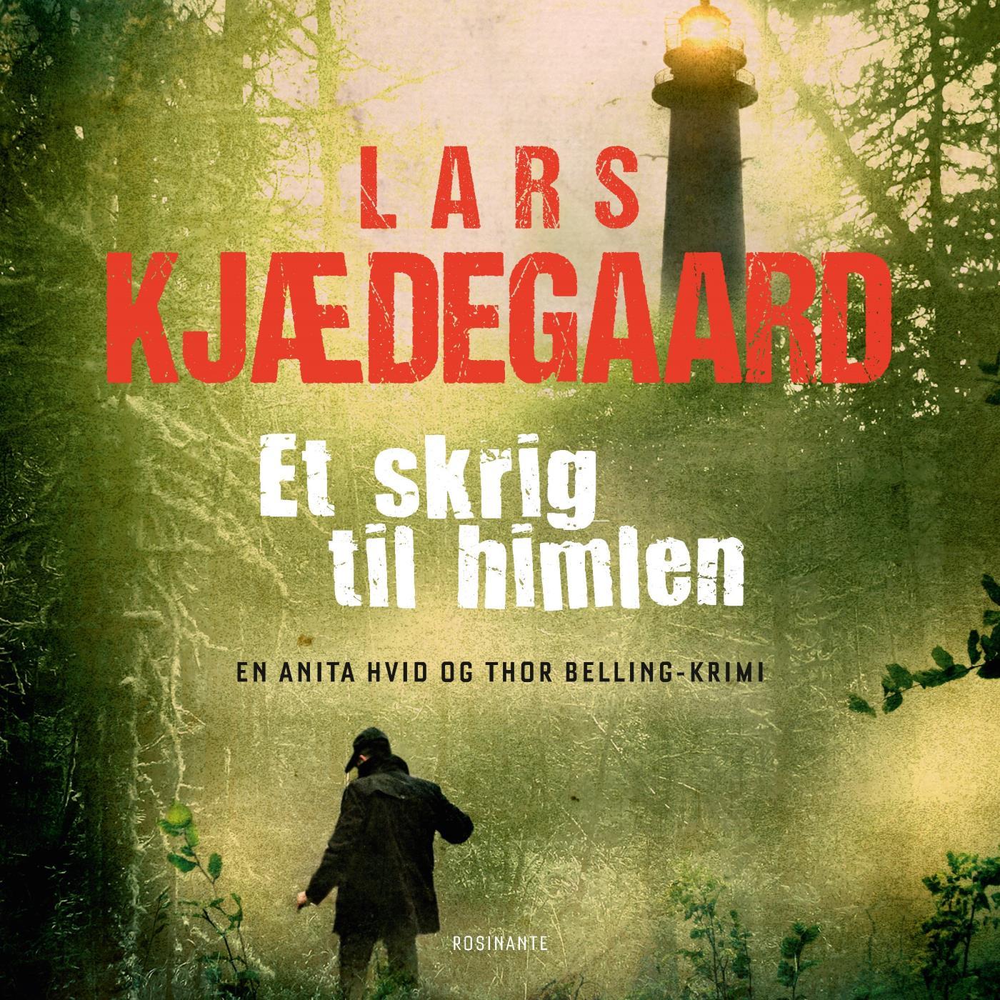 Et skrig til himlen book cover