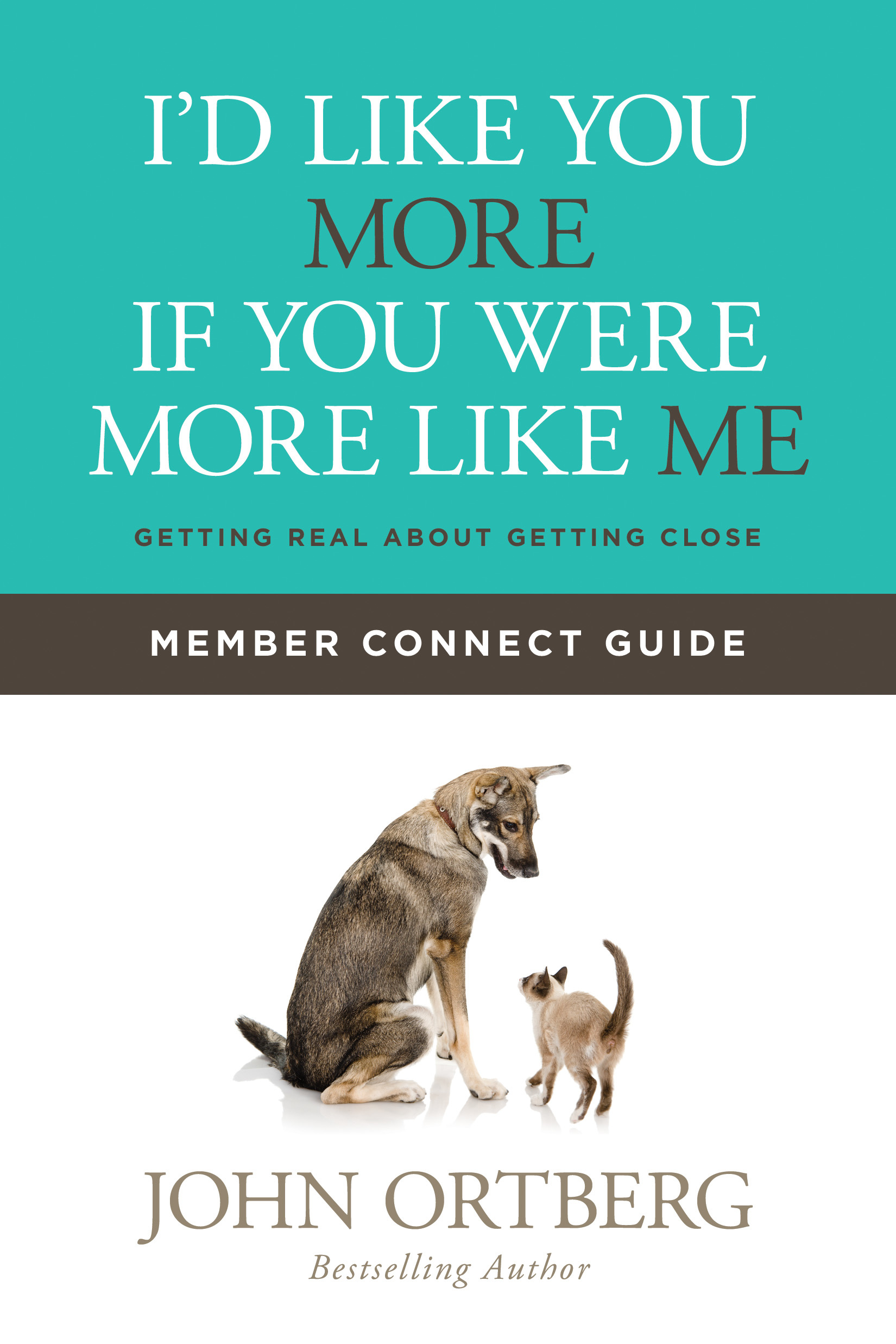 I'd Like You More If You Were More Like Me Member Connect Guide book cover