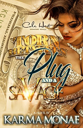 Torn Between The Plug And A Savage book cover