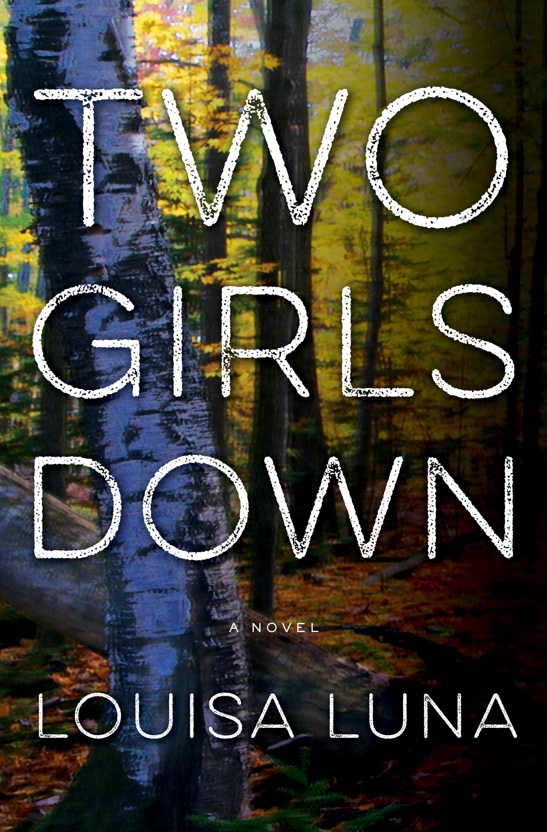 Two Girls Down (Alice Vega, #1)