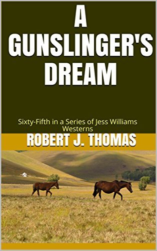 A Gunslinger's Dream book cover
