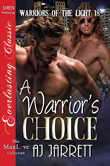A Warriors Choice book cover