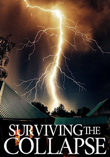 Surviving the Collapse book cover