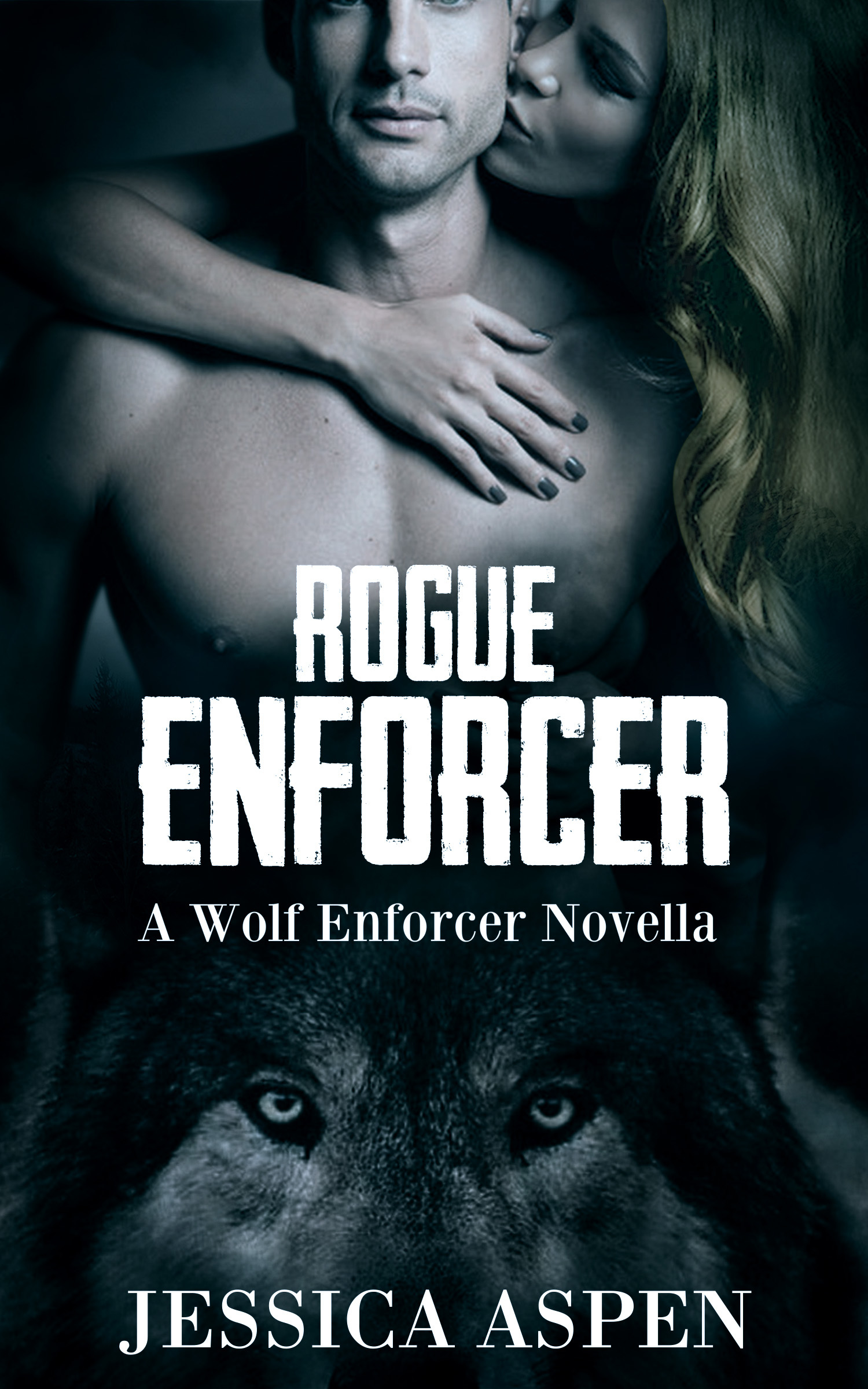 Rogue Enforcer book cover