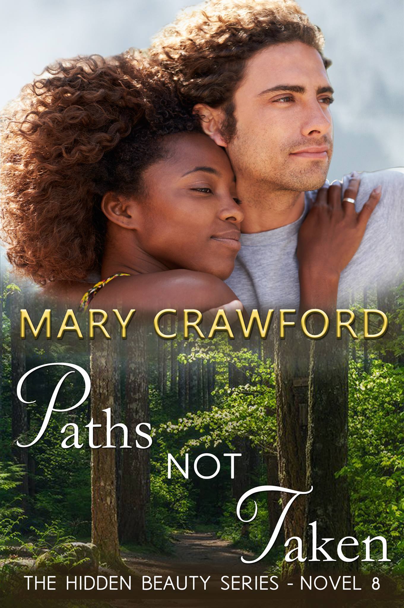 Paths Not Taken book cover